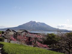 １泊増えちゃった九州旅行　鹿児島仙巌園～夜の天文館～真冬の東京へ