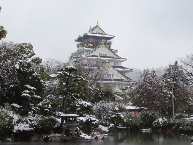 　<br />　２０１４年２月。久しぶりに大阪城天守閣・周辺に雪が。<br />　雪が舞う日があっても、自宅周辺は積もることもほぼなく、<br />　久々の雪で嬉しくなり、ゆっくり歩きながら行ってきました。<br /><br />　ニュースなどで雪の多い地域で、ご苦労されているのを目にすると<br />　喜んでしまう自分の気持ちも考えてしまいますが・・<br /><br />　この日の５日前くらいにも、うっすら雪が積もりました。<br />　早めの時間に行ったので、観光客もまだ疎らでした。<br />　生憎時間少なく、天守閣が主ですが見慣れた眺めも違いました。<br />　<br />　さらに数年前の雪景色もあったので、２枚ほど一緒に。。<br />　ここ数日の寒さで以前の雪景色を思いだし投稿しました☆<br /><br />　<br />　