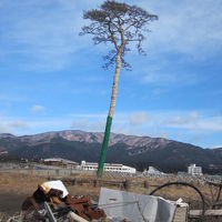 岩手県　奇跡の一本松(東日本大震災を風化させない為に･･･)ウロウロ漫遊記