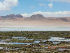 のんびり南米旅その２　ウユニ発チリ国境アタカマ抜け２泊３日ツアー