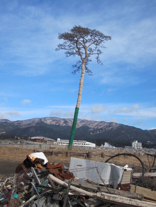 3.11を忘れない･････<br />実は私は東日本大震災の直後に倒れて歩行困難になり、重たい荷物も持てません。<br />ですので、ボランティア活動等もほとんど出来ませんでした。<br />それでも、少しでも復興支援になるかと寄付だけでなく、何度か東北に向かいました。<br />個人的な備忘録かも知れませんが、風化させない為に“今まで”そして“これから”の被災地を少しずつ紹介させてください。<br /><br />その１は、岩手県陸前高田市の「奇跡の一本松」をご紹介させて頂きます。<br /><br />尚、投稿した写真により不快な思いをされた方がいらっしゃいましたら申し訳ございません。<br /><br />