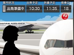 日本航空の旅　伊丹→羽田