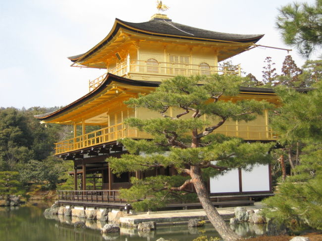 友達とあるお寺のマラソン大会(たった数kmですが。。。)に参加した際、ふと仏像巡りしたくなって関西旅行することに。<br /><br />京都、奈良、大阪で、観光にご飯、カラオケに明け暮れた3泊4日の、京都編をお送りします♪