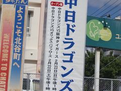 2014ドラゴンズキャンプ＆沖縄マラソン