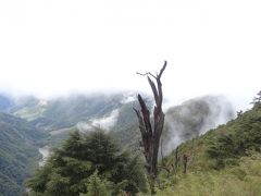 台湾最高峰　玉山登山（二日目、失意の下山編）