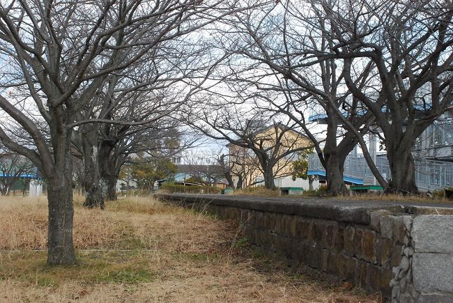 昭和５０年代まで活躍していた三保駅から清水駅まで8.3kmの鉄道、国鉄清水港線跡を訪ねました。<br />そして、三保の松原でのんびりと富士山の景色を眺めました。