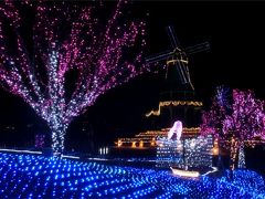 霞ヶ浦湖畔冬の水郷桜イルミネーション