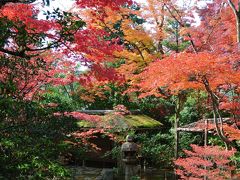 秋の京都～その１～錦市場・妙心寺
