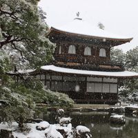 雪の京都冬の旅満喫