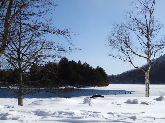 関東はウン十年に一度の大雪だった週末。よりによって、ひとり奥日光へ行ってしまいました・・・もともと雪が降るところだから逆に大丈夫だと思ったのです。一晩明けたら、いろは坂が雪崩で、なんびとたりとも奥日光から出ることができなくなっておりました。ひょえー。<br /><br />結果、ほぼ通行止めの状態がつづくなか、一延泊だけで日曜の夜に帰って来られるというミラクル。親切な皆さまにただただ感謝でございます・・・。本当にありがとうございました！