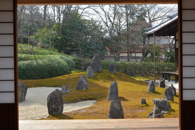 本日は、光明院でお墓の掃除の後、京の冬の旅で寺町　阿弥陀寺を訪問して<br />梅はどうかな〜と歩いてみました。<br />今日もいろんな方々とお話をしていろんなことが起きて<br />忙しい一日でした。