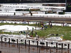 大雪かき大会（東京競馬場）