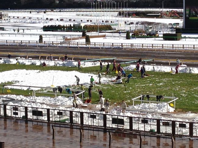 大雪のため東京競馬は中止。しかし京都競馬の馬券は売っているので、競馬場がどんな状況になったか見に行きました。