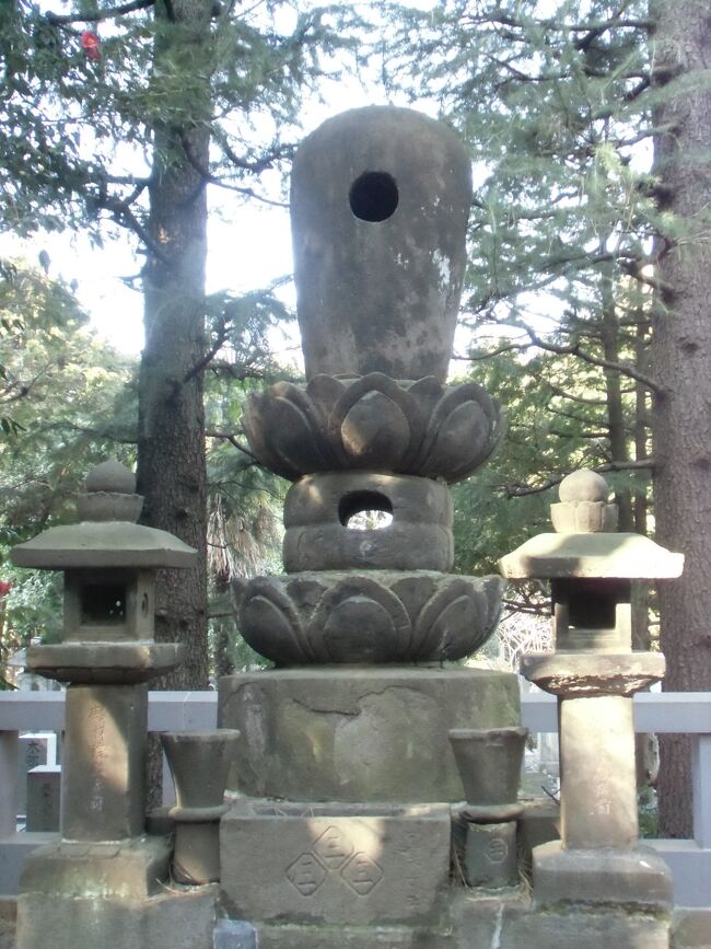 東京メトロ丸ノ内線本郷三丁目より徒歩5分、春日通を西進しますと右手に天澤山・麟祥院(りんしょういん、東京都文京区湯島)山門が窺え、この寺院には第3代将軍家光を実現させた春日局(かすがのつぼね、1579~1643)の廟所があります。寛永元年(1624)春日局の願いによって2代将軍秀忠が建立させた寺で、初めは報恩山天沢寺と言ってましたが、寛永11年、三代将軍家光の命により麟祥院と改称して天澤山と号することになります。春日局の名はお福といい、明智光秀の重臣斎藤利光(さいとう・としみつ、1534~1582)の娘で稲葉正成(いなば・まさなり、1571~1628)に嫁ぎますが後に離婚し、慶長9年(1604)家光の乳母となります。お福は家光の将軍就任に並々ならぬ尽力をして江戸城大奥での影響力を行使し、ついに家康をして家光が嗣子であると言わしめるに至ります。寛永20年9月享年65歳で没し遺体は鱗祥院に葬られます。尚、お福が春日局と呼ばれたのは寛永6年(1629)、後水尾天皇や中宮和子に拝謁した際従三位の位階と春日局という名を天皇から賜ったことによります。2022年10月24日追記当該寺院のホームページには下記の通り紹介されています。『 臨済宗 妙心寺派 天澤山 麟祥院当山は寛永元年(1624)春日局の願により三代将軍家光公の台名で、当地に境内地一万坪寺領三百石の御朱印状を拝領し徳川秀忠の御明御殿を賜り、殿堂を造営し、報恩山天澤寺と号しておりました。はじめ、局の甥にあたる神龍和尚が住職しましたが、病気のため退院し、寛永七年野州宇都宮の興禅寺の?川和尚の高徳であるのを局が聞き、当山の住職として拝請され開山となりました。その節、春日局の菩提寺として、寛永11年(1634)家光公より武州豊島郡柏木村(現新宿北新宿)の内に寺領百石を香華料として寄進され、後に豊島郡駒込村(現文京区本駒込)の内に二百石ご寄進され合わせて三百石の寺領となりました。局は麟祥院殿仁淵了義尼大師の法号をもって寺号とするように命じた為「天澤山麟祥院」と改号しました。』『 開基:春日局幼名は福。父は明智光秀の重臣斎藤内蔵助利三、母は刑部少輔智道明の女で、はじめ稲葉佐渡守正成の妻となり、正勝、正定、正利の三子をもうけましたが、慶長9年(1604)三代将軍家光公の乳母として召し出され3千石を賜りました。家光公が将軍に就くために献身的な活躍をし、大奥の制度の確立に尽力致しました。寛永5年家光公25歳の折、「ほうそう」にかかられ、諸医の手当にも験がなかった時、局は斎戒沐浴して東照宮大権現の神前に詣で、「将軍の病が平癒しましたら今後私が病気になっても絶対に薬を服用しません」と祈りました。その忠誠心に関応してか、日ならずして家光公の病気が回復しました。そのため局は身の終わるまで鍼灸薬餌を一切用いませんでした。寛永6年京都へ上り御所に参内し、春日局の号を賜り、御水尾天皇より天盃を賜りました。同9年再び台に依り上洛し、明正天皇より従二位を賜りました。寛永20年(1643)9月14日65歳で卒し、当院墓地に永眠しております。下の画像(略)は、局が朝廷より従二位緋袴を賜った折の寿像で、局の還暦を祝して家光公が特に狩野探幽に命じて描かせたものです。』『 春日局墓石について春日局の墓石の四方および台石には、それぞれ穴が?ってあります。これは「死して後も天下の政道を見守り之を直していかれるよう黄泉から見通せる墓を作って欲しい」と言う春日局の遺言に衆議して建立したものです。春日局の強運と賢徳に、又墓石に穴が通っていることから、「肖る」とか「願いが通る」と江戸時代より港間に伝えられてひそかに参詣する人が多くありました。当院は寺域の周囲を「カラタチ」の生垣を廻らしていたことから、「からたち寺」と言われて来ましたが、明治20年頃より施工された度々の道路拡張などにより、カラタチの生垣はなくなりました。』
