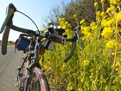 輪行風土記～春を先取り！ 東京湾フェリーで渡る南房総の春花サイクリング