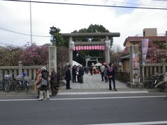 小村井　香取神社　梅祭り。