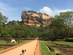 スリランカってどんな国？ ☆２　シーギリヤ・ロック編