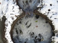 一時帰国1★大雪だったSAITAMA