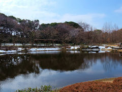 皇居東御苑　二の丸庭園　冬　２０１４