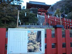 寒い冬の夕暮れ小町通りと鶴岡八幡宮/神奈川・鎌倉、横浜