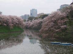 花見 in Tokyo