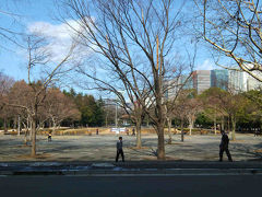 日比谷公園に春が来た　２０１４