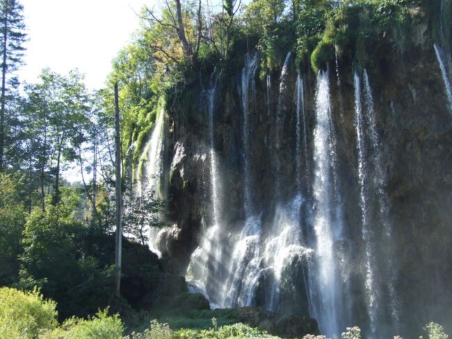 クロアチア6都市8日間　ザグレブからブリトヴィツェ・トロギール・スプリット・ドブロブニク・シベニクと巡る。<br />プリトヴィツェ湖群国立公園は滝と16湖が美しい景観を作り出している。湖畔を歩いて巡ると様々な景色が向かえてくれる。