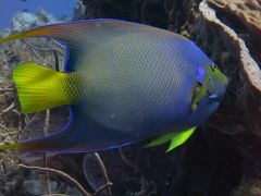 カリブ海ってやっぱり太平洋とは違うのね～