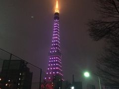 次男の誕生日、次男のおごりで夕食を楽しむ（微笑）、夜の散歩、工事中の幻のマーカーサー道路、虎ノ門 ヒルズ等 in　東京−　３月　　２０１４年