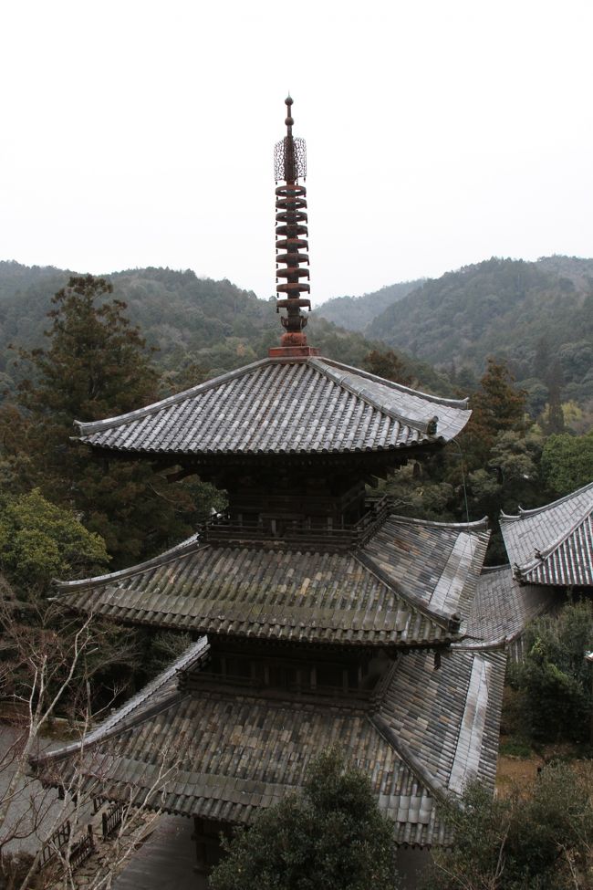 法華山　一乗寺へ行ってきました。<br />そこは西国三十三箇所の寺にもなっておりました。<br />記憶には全くないのです。<br />三十三箇所参りをしていた頃に訪れていることが、納経帳を見ても思い出せません。<br />もう十年も前の５月に訪問してました。<br /><br />人間の記憶は曖昧だなと思いました。<br />当時はスタンプラリーのような感じだったんでしょう。<br /><br />今、ここに来て思うのは、落ち着きのある寺で時間の止まった様子がたまらないものです。<br />国宝の三重の塔も見応えがありました。<br /><br />また、本堂の木目が凄く立派で写真を撮りました。<br />過ぎてゆく時間をまったく忘れてしまった想いです。