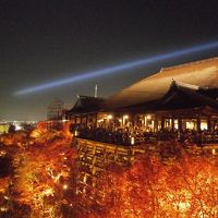 京都紅葉めぐりの旅