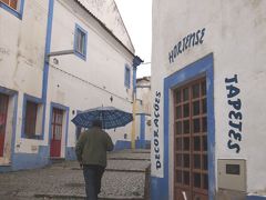 「温もりの国」ポルトガル　 （6）故郷の温もりを感じるアライオロス村