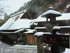 みぞれ降る京都　長岡天満宮八条が池～奥嵯峨鳥居本～苔の祇王寺を歩く