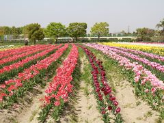 大阪　和泉リサイクル環境公園を訪ねて