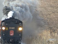 冬の北海道を楽しもう～♪SL冬の湿原号はアッという間に行ってしまった(^_^メ)