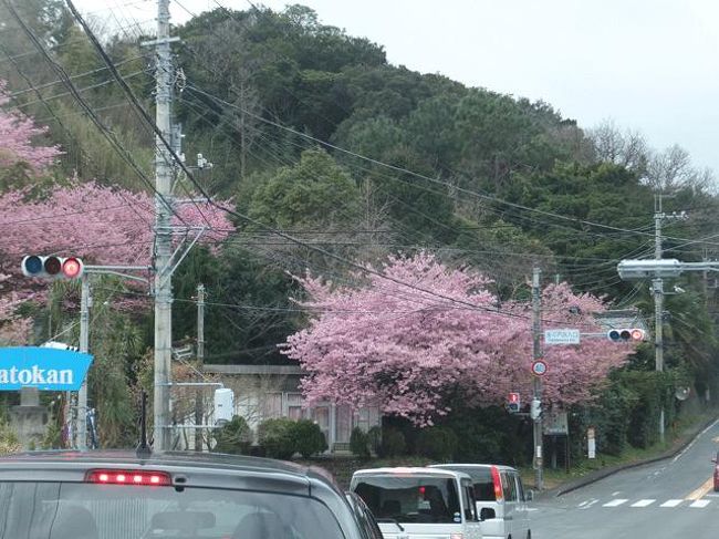 南伊豆町に“みなみの桜と菜の花まつり”を見て来ました。 <br />第1回は、往路です。<br />わざわざ遠回りをして先月開通した東駿河湾環状道路へ…。<br /><br /><br />★南伊豆町役場のHPです。<br />http://www.town.minamiizu.shizuoka.jp/<br /><br />★南伊豆町観光協会のHPです。<br />http://www.minami-izu.jp/index.html<br /><br />※一部の写真の位置情報が不明確の所があります。