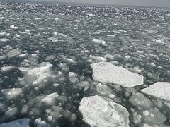 流氷を見にオホーツクへ