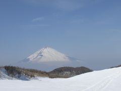 世界遺産　富士山を望む　素晴らしいザ･プリンス 箱根1泊旅行＆駒ケ岳ロープウェイ