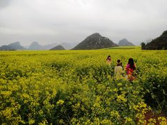 雲南から越南(ベトナム)の旅　その2　昆明から羅平、羅平の金鶏村 & 牛街