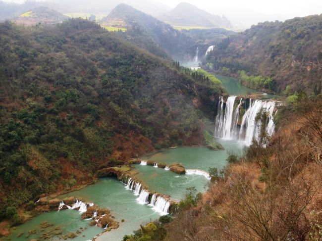 年1,2回誘われる中国旅仲間との旅、今回は雲南省から越南(ベトナム)の旅です。<br /><br />○ 旅の概要<br /><br />上海から雲南省の「昆明」へ、「昆明」で仲間と合流(1泊)。<br /><br />菜の花で有名な「羅平(2泊)」、棚田で有名な「元陽(2泊)」を専用バスで巡ります。<br /><br />国境の街「河口」まで行きバスと別れて歩いて国境の河「紅河」を渡り越南の「ラオカイ」に入ります。<br /><br />避暑地「サパ」を観光後、「ラオカイ」から寝台列車(1泊)で「ハノイ」まで、早朝到着後市内観光。昼食後「ハロン湾」に行き1泊。<br /><br />遊覧船でハロン湾を巡り、午後「ハノイ」に戻り仲間は日本へ、私は寝台列車(1泊)で「南寧」に。<br /><br />「南寧」で1泊後上海に戻ります。<br /><br />○ 旅の行程<br /><br />2/21　上海　→　昆明　　　　　MU5802　　約3時間半<br />2/22　昆明　→　羅平　　　　　専用バス　約6時間<br />2/23　羅平　　　　　　　　　　専用バス<br />2/24　羅平　→　元陽　　　　　専用バス　約9時間<br />2/25　元陽　　　　　　　　　　専用バス<br />2/26　元陽　→　河口　　　　　専用バス　約4時間20分<br />　　　河口　→　ラオカイ　　　徒歩<br />　　　ラオカイ　→　サパ　　　専用バス　約1時間半<br />　　　サパ観光<br />　　　サパ　→　ラオカイ　　　専用バス　約1時間20分<br />　　　ラオカイ　→<br />2/27　→　ハノイ　　　　　　　寝台列車　約9時間<br />　　　ハノイ観光<br />　　　ハノイ　→　ハロン湾　  専用バス　約5時間<br />2/28　ハロン湾　→　ハノイ　  専用バス　約4時間半<br />　　  ハノイ　→　　　　　　  <br />3/01  →　南寧　　　　　　　　寝台列車　約12時間半<br />3/02　南寧　→　上海          MU5398　　約2時間半<br /><br />○ その３は羅平の九龍の滝と魯布革三峡(小三峡)です。<br /><br />　 写真は羅平の九龍瀑布群。　<br />