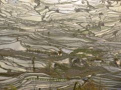 雲南から越南(ベトナム)の旅　その4　羅平～元陽、元陽の老虎嘴梯田