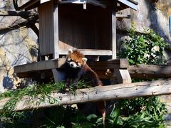 野毛山動物園