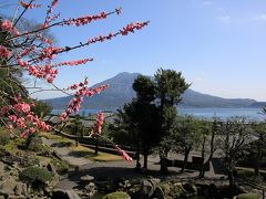 九州新幹線で行く早春の熊本・鹿児島ツアー(２日目）