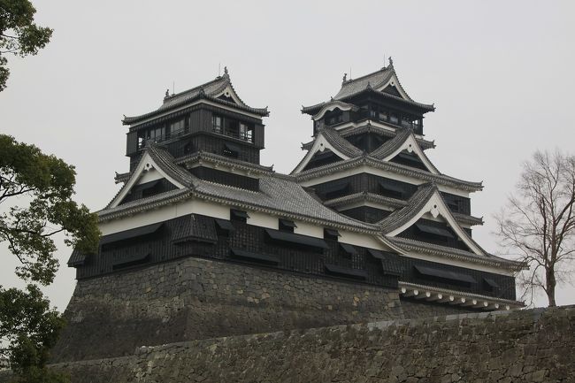 九州新幹線利用の1泊2日ツアーが阪急交通社から25千円で出ていたので、3月1日から出かけてきました。<br />工程は、<br />3月1日(土)<br /> 山陽新幹線のぞみ95号で博多駅まで移動し、バスで熊本城。<br /> 熊本城観光後、バスで屋久杉工房見学後指宿温泉に宿泊<br />3月2日(日)<br /> 池田湖、知覧武家屋敷と特攻平和会館観光後、仙巌園、城山展望台を観光<br /> その後九州自動車道を走って、途中人吉の青井阿蘇神社で参拝し、JR新玉名駅へバスで移動<br /> JR新玉名駅から九州新幹線つばめ362号で博多に行き、のぞみ98号で帰宅。<br />天気予報では2日とも雨だったのですが、幸いなことに雨は観光に影響のない1日の夜だけで、翌2日は晴天になりとてもラッキーでした。<br />鹿児島は十数年ぶりでしたが、食べ物もおいしく、指宿温泉も最高でした。<br />今回の旅行では、きれいな開聞岳が見られなかったので、次回はレンタカーで自分のペースでゆっくり回りたいものです。<br />