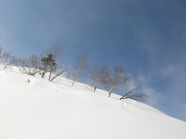 ◎今年もサホロ　滑り初め2014