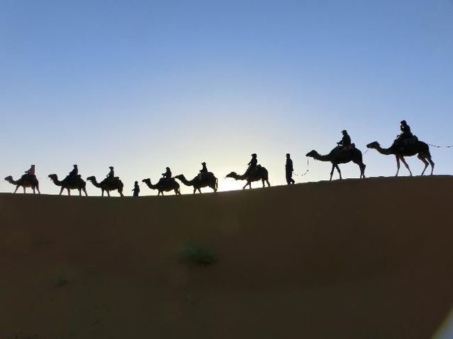サハラ砂漠の朝日鑑賞に7ヶ所の世界遺産を巡るモロッコ充実の旅<br /><br />巷ではアルガンオイルが流行っているし、世界遺産のアイト・ベン・ハッドゥには行きたい。サハラ砂漠の日の出も見たいで今年はモロッコにも行くことにしました。<br /><br />某旅行会社のツアーです。<br />ツアー客10名　添乗員1名　モロッコ国内ガイド1名<br /><br />＊今回の行程＊<br />6月7日　成田　QR0805　22:30発　機内泊<br />6月8日　ドーハ03:30着　ドーハ　QR0552　09:45発　カサブランカ15:45着　着後カサブランカ市内観光　観光後首都ラバトに　ゴールデンチューリップファララバトホテル泊<br />6月9日　ラバト市内観光　観光後メクネスに　メクネス市内観光　観光後ヴォルビリスに　古代ローマ遺跡観光　観光後フェズに　ソフィテルパレジャメ泊<br />6月10日　終日フェズ市内観光　同上泊<br />6月11日　途中イフラン、ミデルトを経てエルフードに移動　ホテルシャルーカ泊<br />6月12日　サハラ砂漠朝日鑑賞　その後トドラ渓谷を経てワルザザードに　ベルベルパレス泊<br />6月13日　ティフルツートのカスバを経てアイト・ベン・ハッドゥに　観光後マラケシュに　ケンジファラーホテル泊<br />6月14日　終日マラケシュ市内観光　同上泊<br />6月15日　エッサウィラを経てカサブランカに　ゴールデンチューリップ泊<br />6月16日　カサブランカ　QR0551　11:00発　ドーハ20:05着　機内泊<br />6月17日　ドーハ　QR0804　01:50発　成田　17:50着