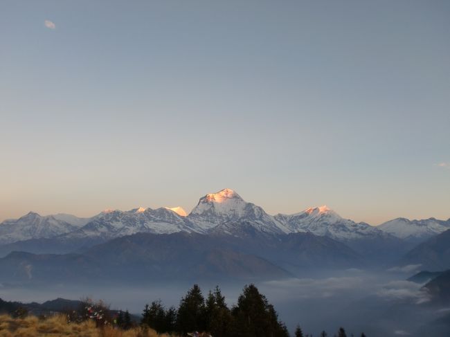 　だいぶ前のことですが、ネパール在住中にアンナプルナの麓でトレッキングをしてきました。それについて書きたいと思います。<br /><br />　ヒマラヤのトレッキングのハイシーズンは秋くらいらしいのですが、３月末に日本へ帰国する前に一度はヒマラヤを満喫したいと思い、思い切って行ってきました。<br /><br />　２月２６日から３月２日までの４泊５日の行程中、日中の活動中は全く雨に降られることなく、快適に過ごせました。一番の目玉であったプーンヒルでも快晴で、最高の景色を楽しめました。<br /><br />　オフシーズンのせいもあって、道中は他のトレッキング客をあまり見かけることもなく、自分のペースでのんびりと歩けました。ただ、後半の下り中心の行程では、慣れないトレッキングシューズで靴擦れを起こしてしまい、急勾配の坂などはかなり痛くてきつかったです。<br /><br />　とはいえ、北部ネパールのヒマラヤ一帯の雄大さを目の当たりにして終始感動のトレッキングでした。将来また行ってみたいと思っています。次はエベレスト方面を訪れてみたいですね。