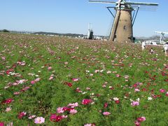 佐倉ふるさと広場へサイクリング