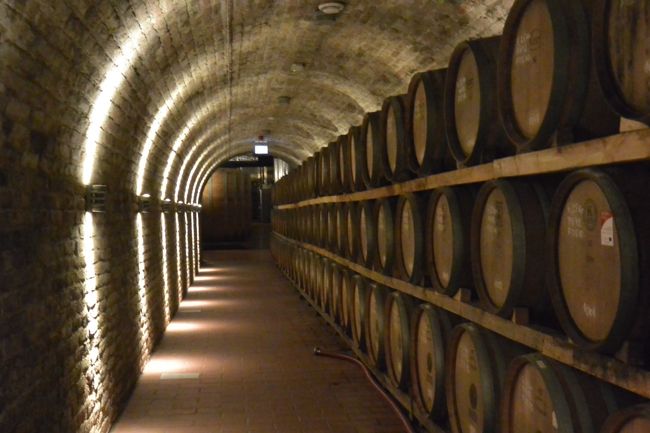 昨年につづき南ハンガリーのモハーチという街で行われる冬を追い払うお祭り『ブショーヤーラーシュ』に行くついでに、ワインの産地ヴィッラーニのワインセラーペンション『BOCK』に泊まり、ワインの試飲を楽しみました。今回は、ワインセラーの見学もできました。<br /><br />http://hotel.bock.hu/