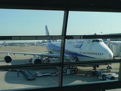 ANA747搭乗記 羽田ー那覇 NH137